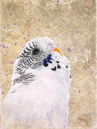 Original Kunst Vogelmalerei - Wellensittich auf Leinwand