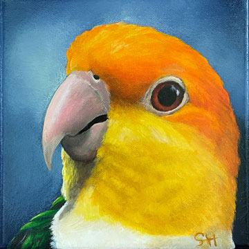Wandbild Rostkappen Papagei Caique - Original Kunst Acrylgemälde, Wanddeko Bild Welli