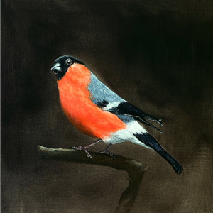Gemälde Gimpel Dompfaff - Original Kunst Acrylgemälde, Wanddeko Bild, Birdart