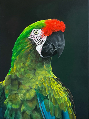 Gemälde Soldatenara - Original Kunst Acrylgemälde, Papageienkunst, Birdart