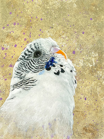 Budgie original bird art painting