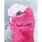 Preview: Rosakakadu Galah. Papagei Acrylgemälde
