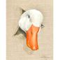 Preview: Goose original acrylic farm animal painting