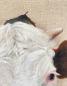 Preview: Cow original acrylic painting