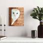 Preview: Barn owl original acrylic bird painting