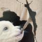 Preview: Golden Retriever Welpe. Acrylgemälde