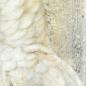 Preview: Yellow-crested Cockatoo original acrylic parrot painting