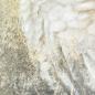 Preview: Yellow-crested Cockatoo original acrylic parrot painting