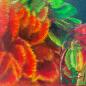 Preview: Ara, macaw parrot original acrylic parrot painting