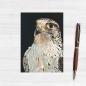 Preview: Postkarte Wandfalke Sakerfalke