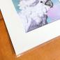 Preview: White Cockatoo wall art print