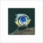 Preview: Blue Budgie wall art print