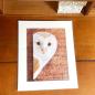 Preview: Barn Owl wall art print