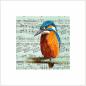 Preview: Kingfisher wall art print