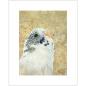 Preview: Wanddeko Kunstdruck Wellensittich