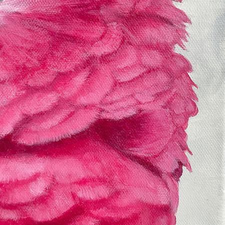 Rosakakadu Galah. Papagei Acrylgemälde