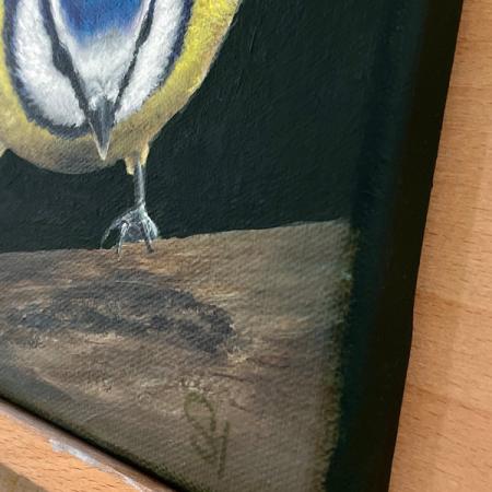 Blue tit original acrylic bird painting