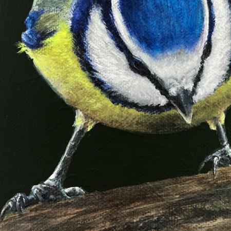 Blue tit original acrylic bird painting