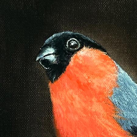 Gimpel, Dompfaff. Acrylgemälde
