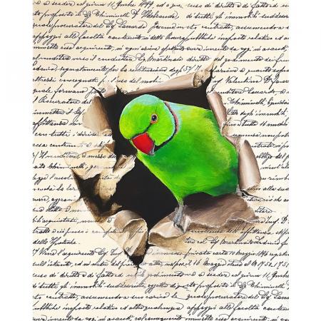 Ring-necked parakeet original acrylic bird painting