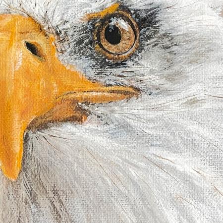 Bald Eagle original acrylic bird of prey painting