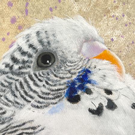 Budgerigar parakeet original acrylic budgie painting