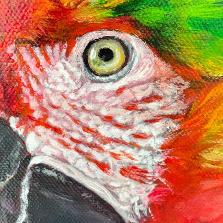 Ara, macaw parrot original acrylic parrot painting