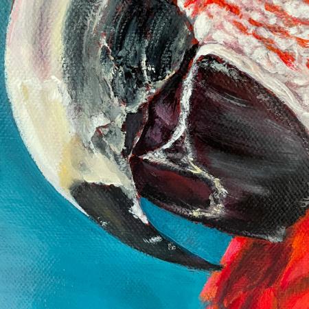 Ara, macaw parrot original acrylic parrot painting