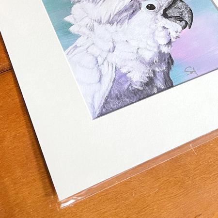 White Cockatoo wall art print