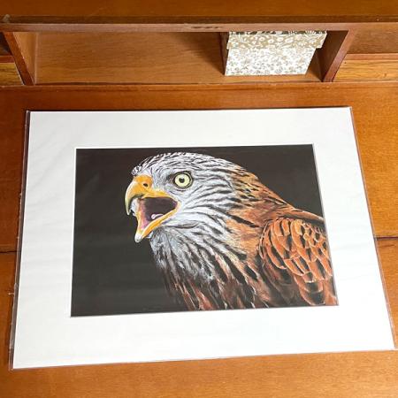Red Kite bird of prey wall art print