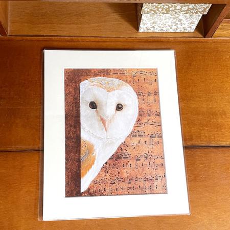 Barn Owl wall art print