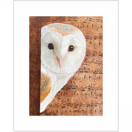 Barn Owl wall art print
