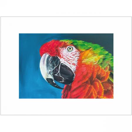 Ara Macaw parrot wall art print