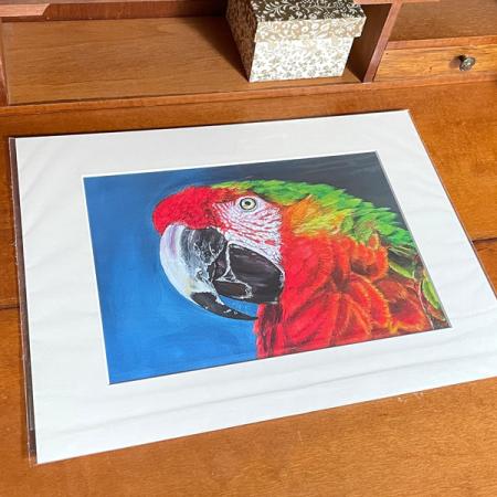 Ara Macaw parrot wall art print