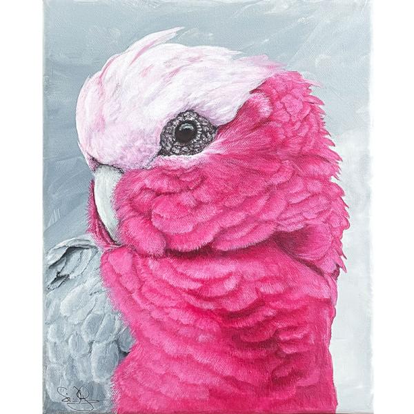 Rosakakadu Galah. Papagei Acrylgemälde
