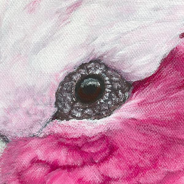 Rosakakadu Galah. Papagei Acrylgemälde