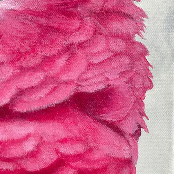 Rosakakadu Galah. Papagei Acrylgemälde