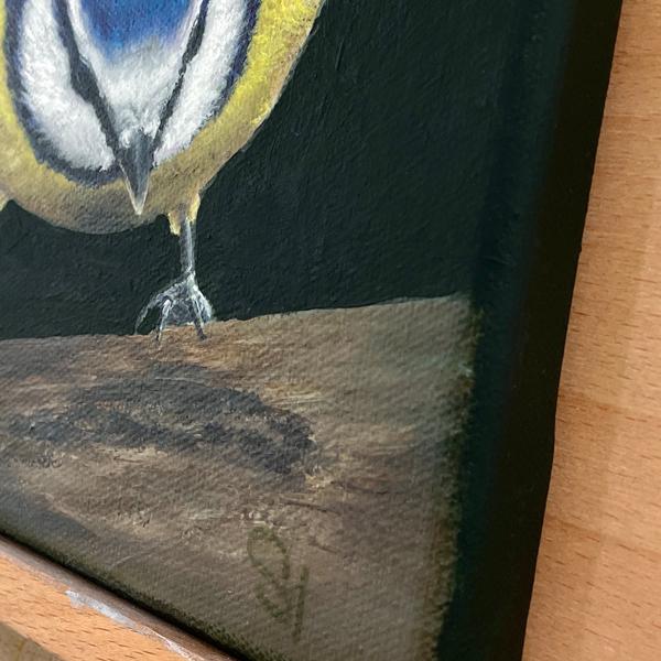 Blue tit original acrylic bird painting