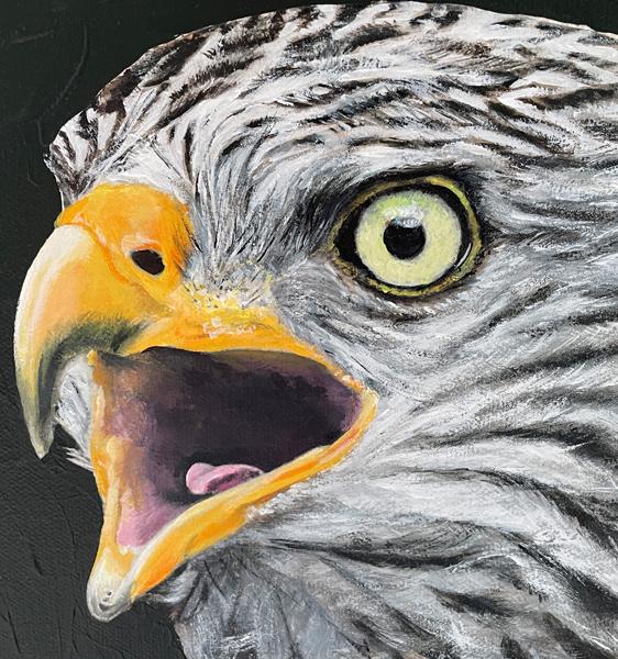 Rotmilan. Acrylgemälde