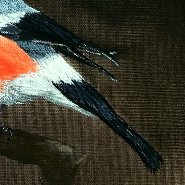 Gimpel, Dompfaff. Acrylgemälde