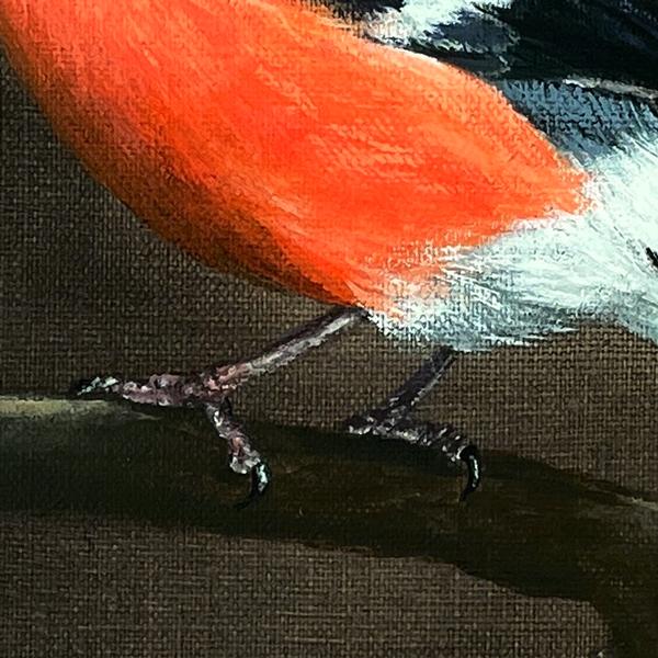 Gimpel, Dompfaff. Acrylgemälde
