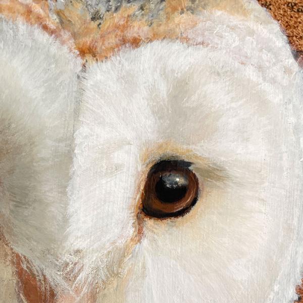 Barn owl original acrylic bird painting