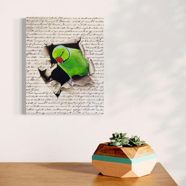 Ring-necked parakeet original acrylic bird painting
