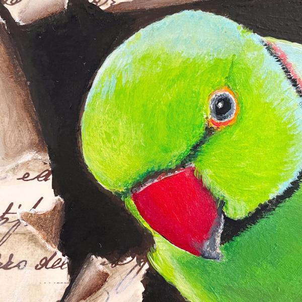 Ring-necked parakeet original acrylic bird painting
