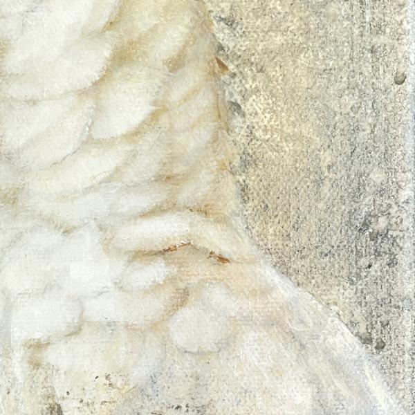 Yellow-crested Cockatoo original acrylic parrot painting