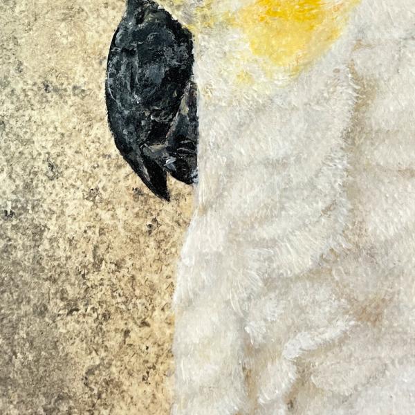 Yellow-crested Cockatoo original acrylic parrot painting