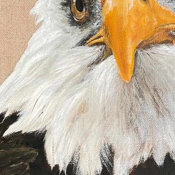 Bald Eagle original acrylic bird of prey painting
