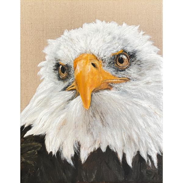 Bald Eagle original acrylic bird of prey painting