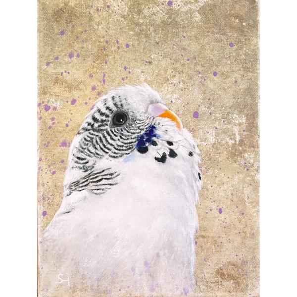 Budgerigar parakeet original acrylic budgie painting