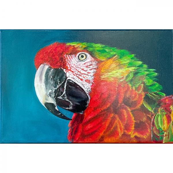 Ara, macaw parrot original acrylic parrot painting